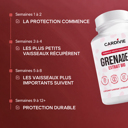 Cardivie ™ — Gélules d'extrait de grenade biologique