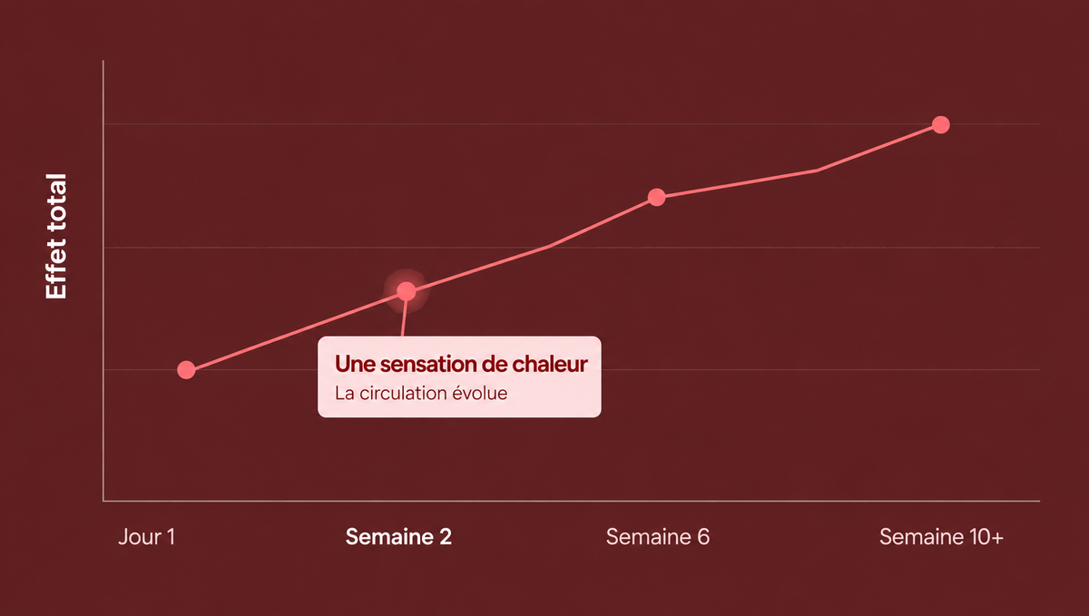 Semaine 2