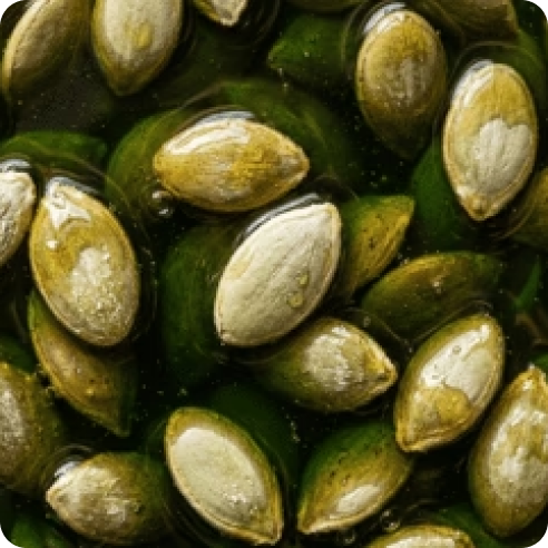 Huile de pépins de courge
