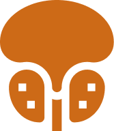 Santé de la prostate